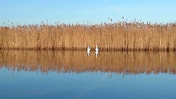 Varen op het Oldambtmeer Bootverhuur Beerta Blauwestad