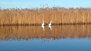 Varen op het Oldambtmeer Bootverhuur Beerta Blauwestad