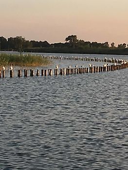 Varen op het Oldambtmeer Bootverhuur Beerta Blauwestad